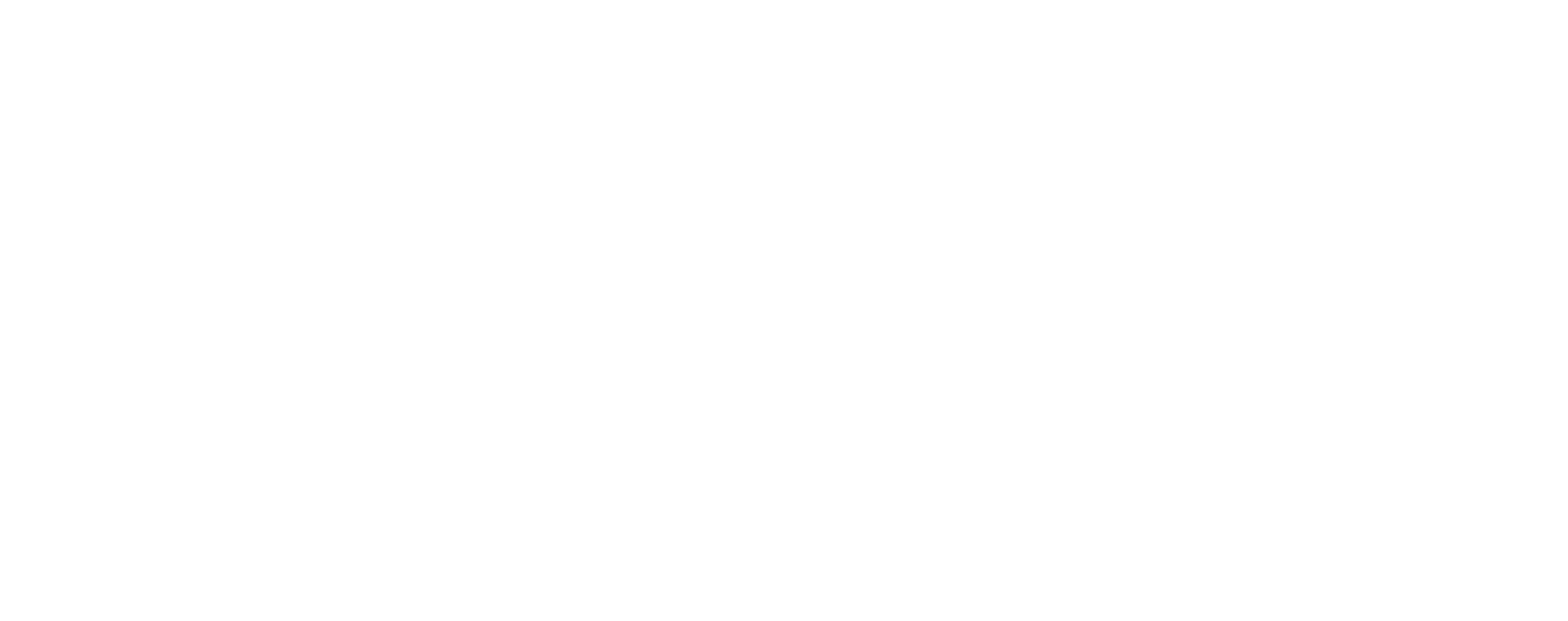 ECK21_Logo-01_weiss